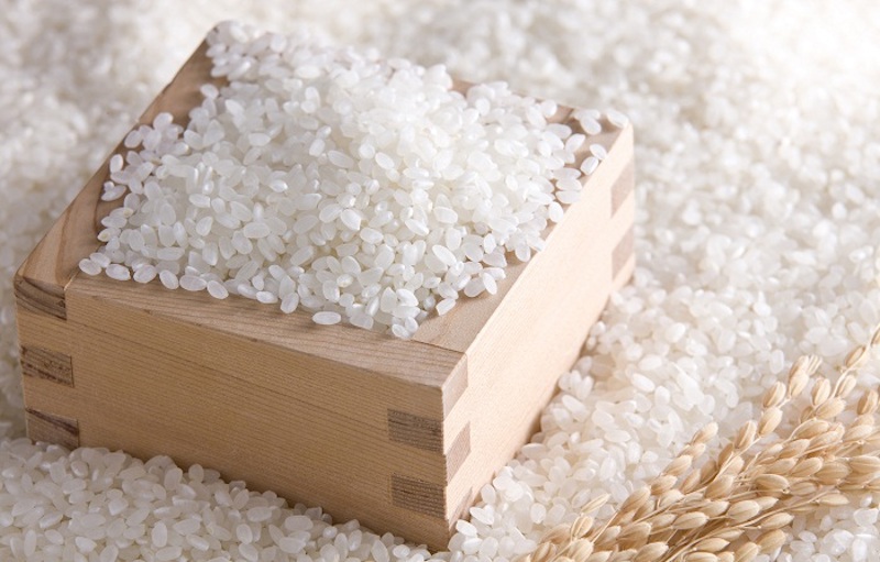 Mua gạo tấm ở đâu?