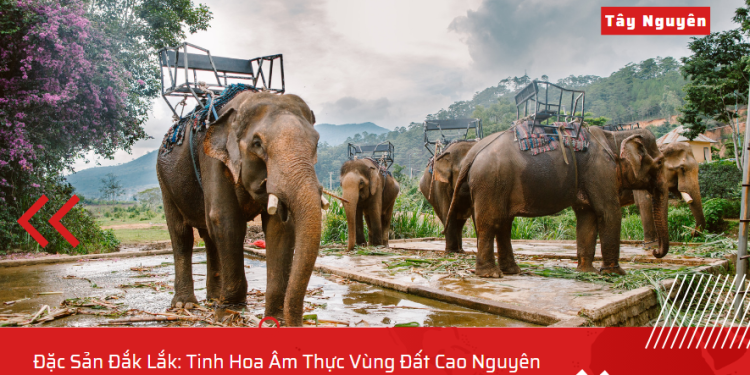 Đặc Sản Đắk Lắk: Tinh Hoa Âm Thực Vùng Đất Cao Nguyên