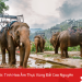 Đặc Sản Đắk Lắk: Tinh Hoa Âm Thực Vùng Đất Cao Nguyên